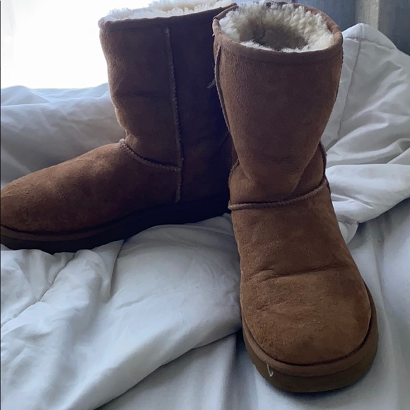 Chestnut Ugg’s - Picture 2 of 3